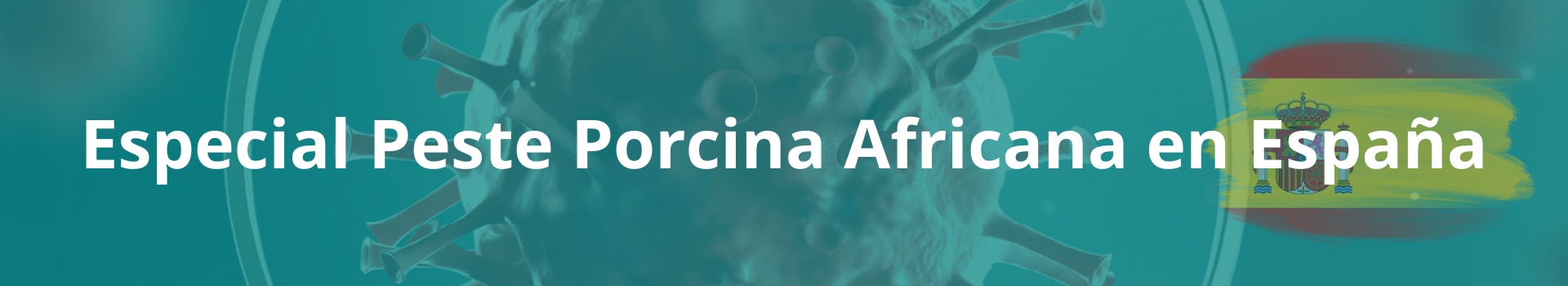 Especial Peste Porcina Africana