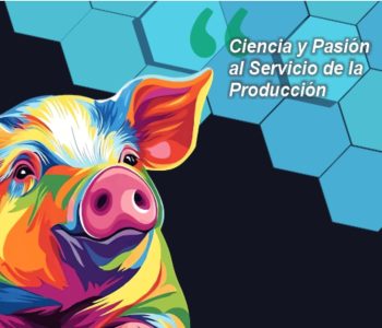 AMVECAJ – XXXIII Congreso