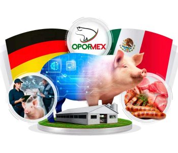 El Congreso OPORMEX 2026 reunirá al sector porcícola de México con Alemania como país invitado y foco en la Visión 2035.