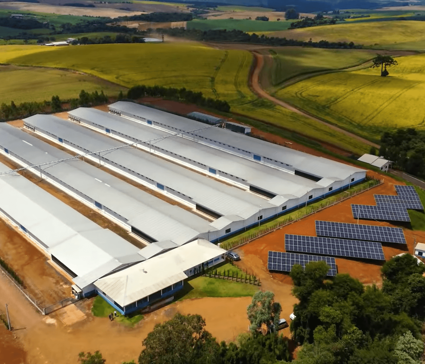 75% das granjas integradas à Seara já utilizam energia limpa