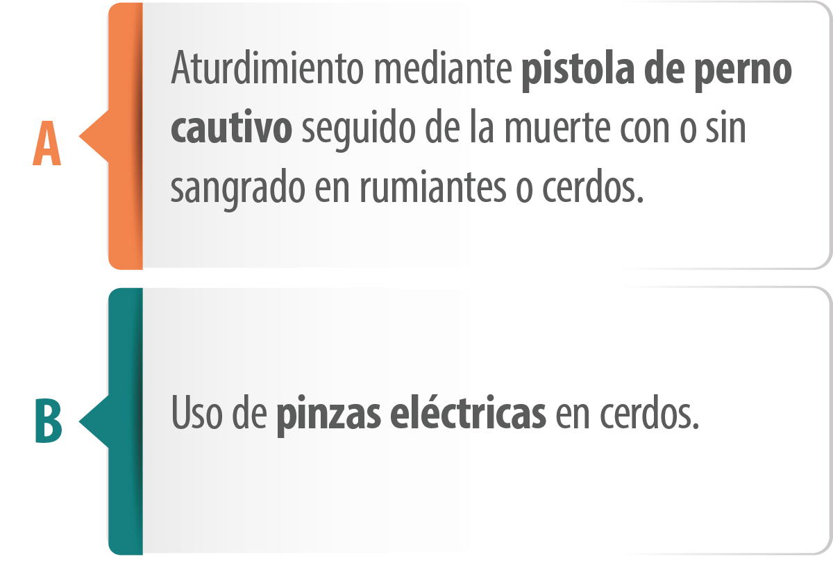 ACCIDENTES