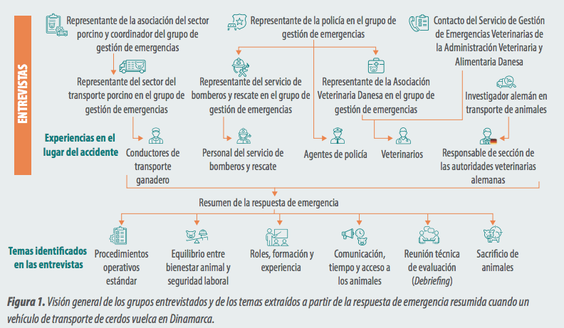 IMAGEN-ESQUEMA1