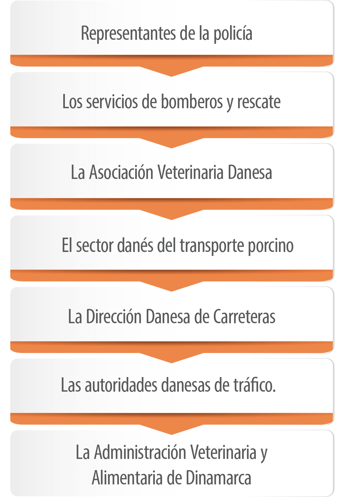 IMAGEN-FIGURA2