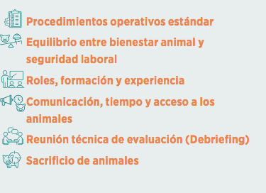 IMAGEN-FIGURA4