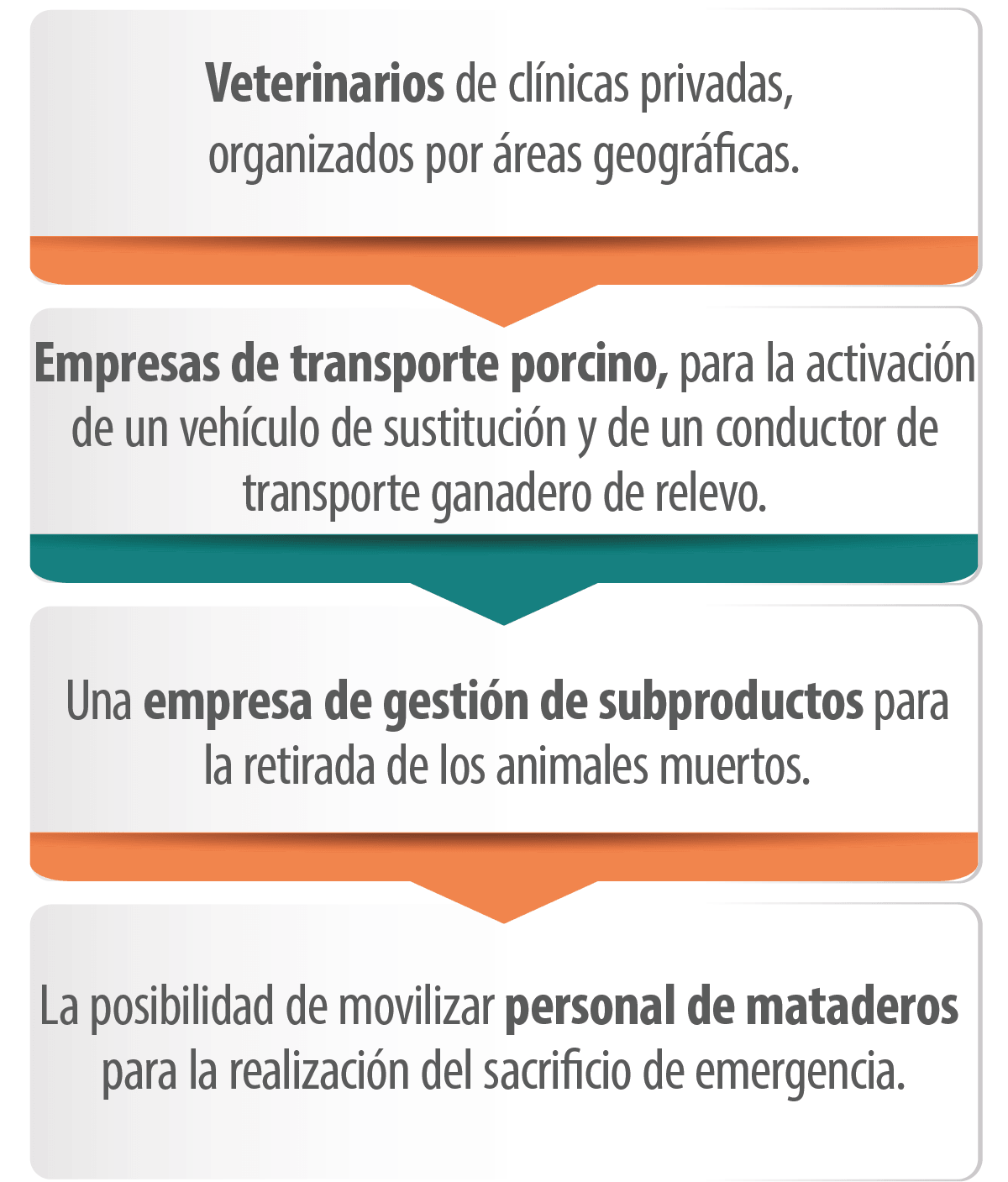 IMAGEN-FIGURA5