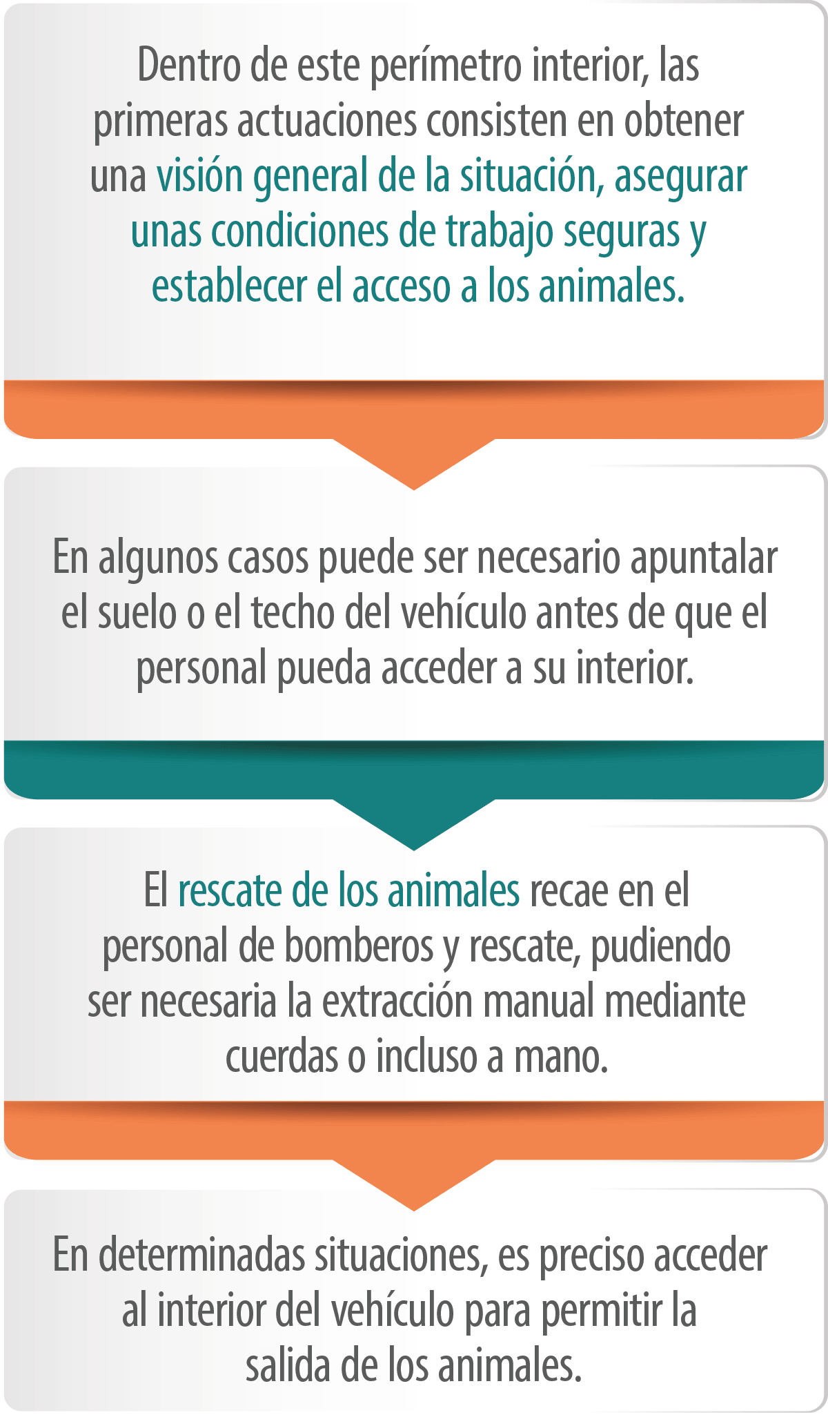 IMAGEN-FIGURA6