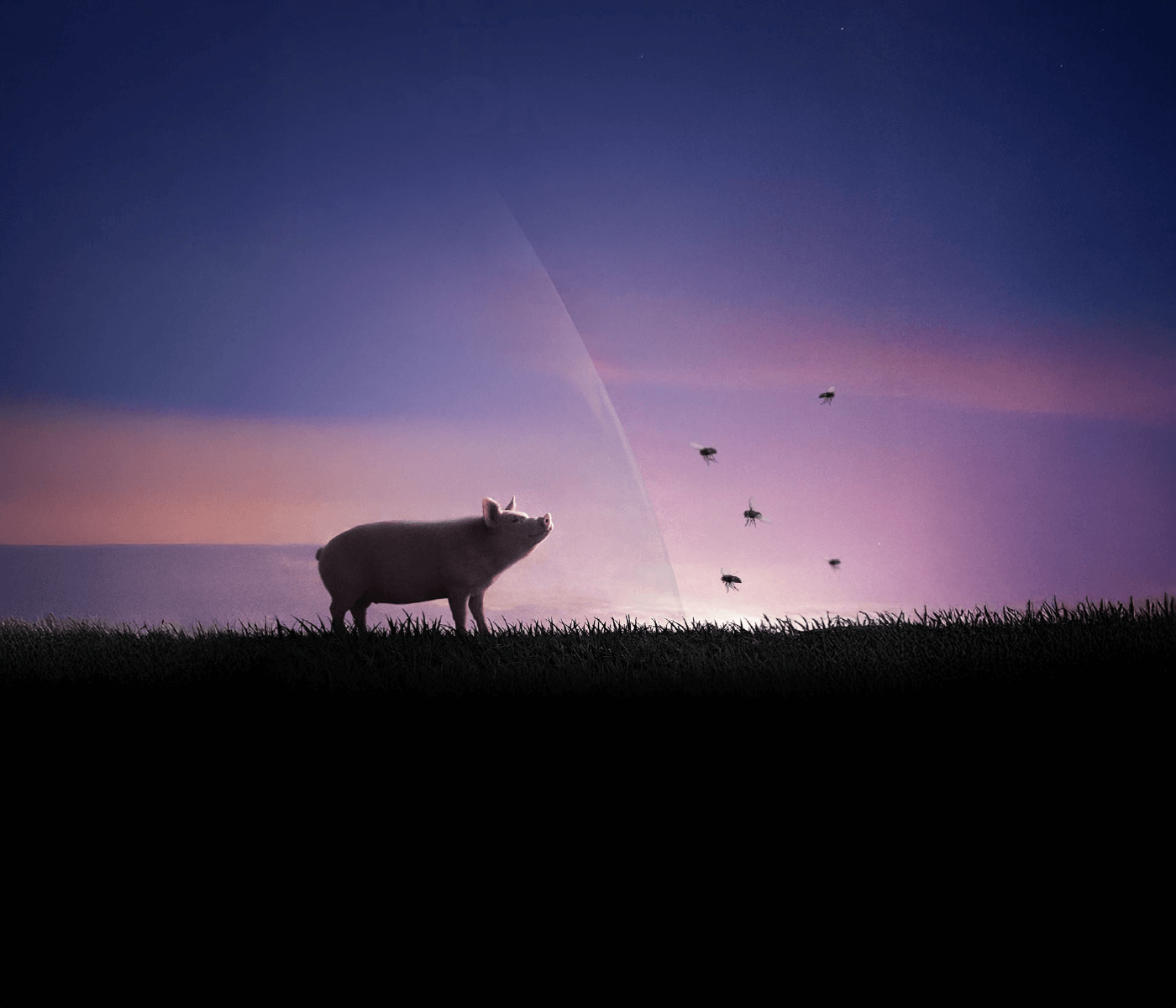 MASTERFLY® BAIT: control eficaz y duradero de moscas