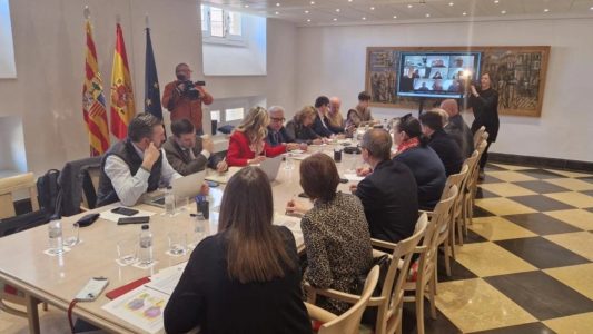 Aragón insiste en que el Ministerio de Agricultura lidere la respuesta ante el problema con la PPA que afecta al territorio español.