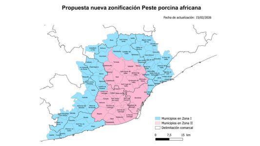 En Bruselas se aprobó la zonificación propuesta por España tras casos de PPA en jabalíes en Barcelona, permitiendo movimientos con controles.