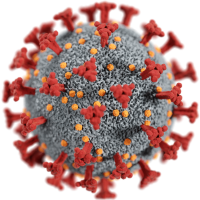 PSA pode manter elevada virulência e impacto econômico