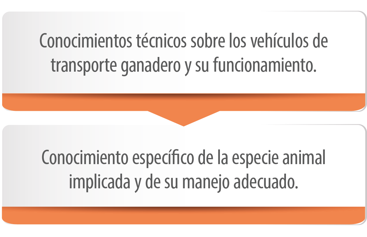 ACCIDENTES