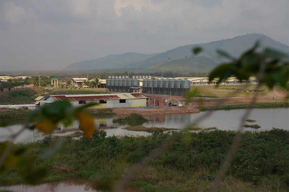 Feedmills drive Cambodia’s pig production revolution
