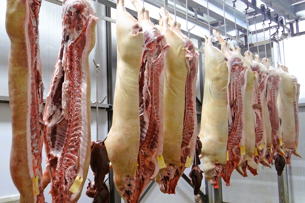 Khanh Hoa accelerates push for centralized slaughterhouses