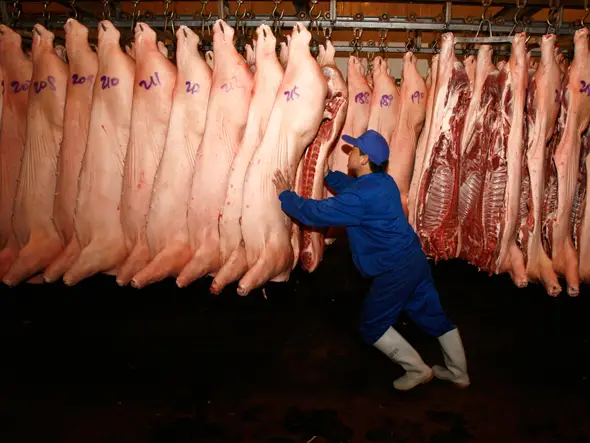 Can’t stop, won’t stop: Chinese pork giants keep expanding