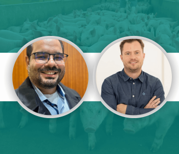 time de Suinocultura