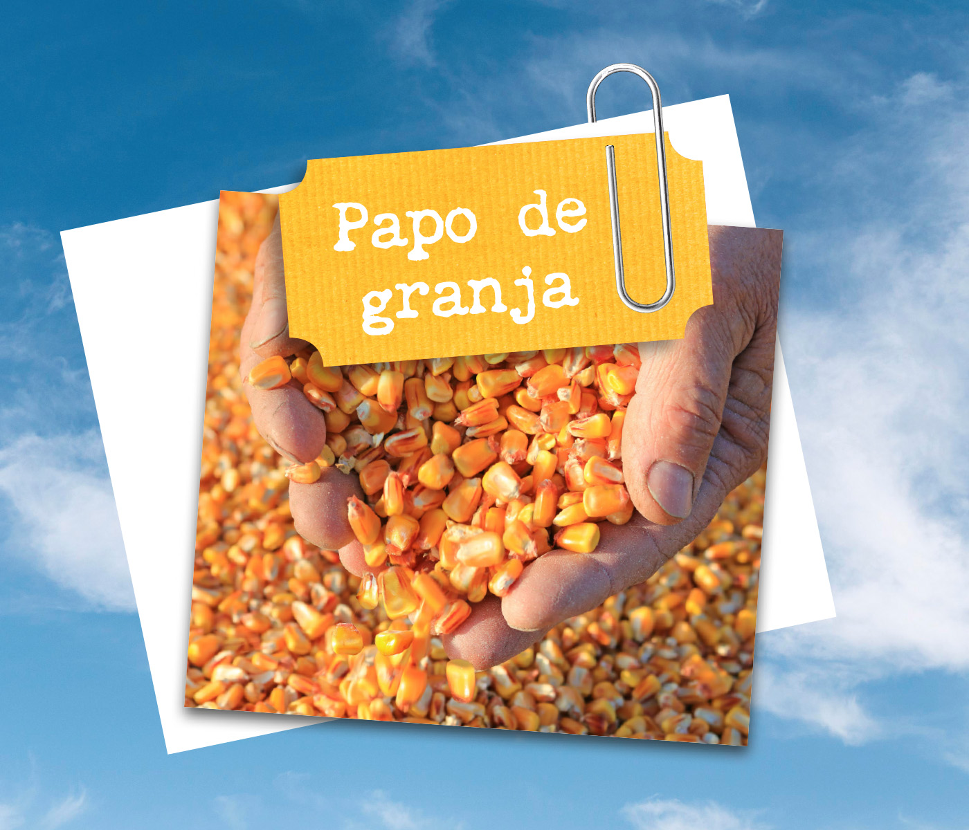 Ração eficiente começa na matéria-prima: o papel estratégico dos grãos