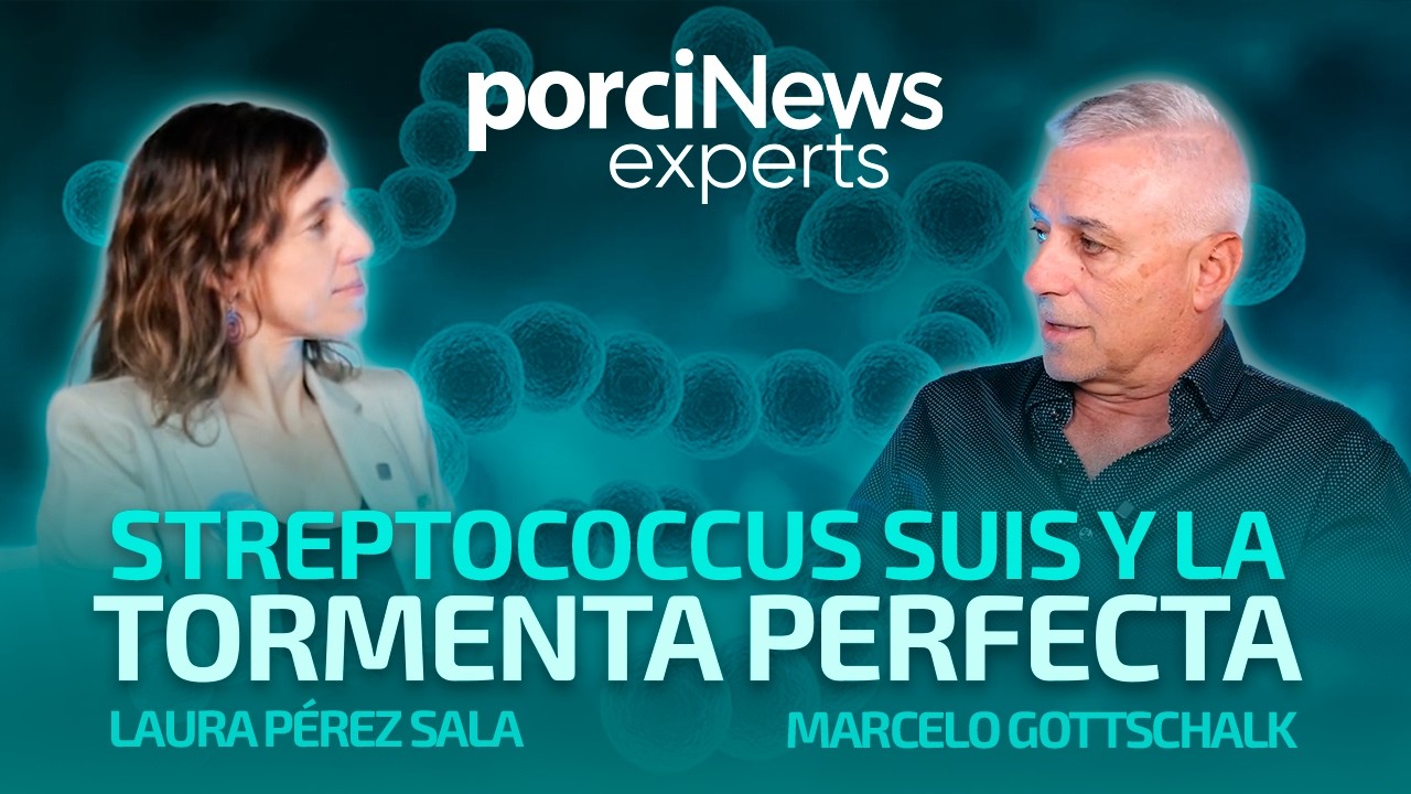 ¿Por qué AUMENTAN los PROBLEMAS por STREPTOCOCCUS SUIS en la FASE 2? Con Marcelo Gottschalk