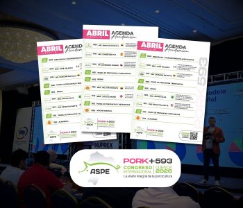 La agenda académica Pork593 2026 incluye sanidad, nutrición, genética, bienestar animal y calidad de carne en porcicultura.