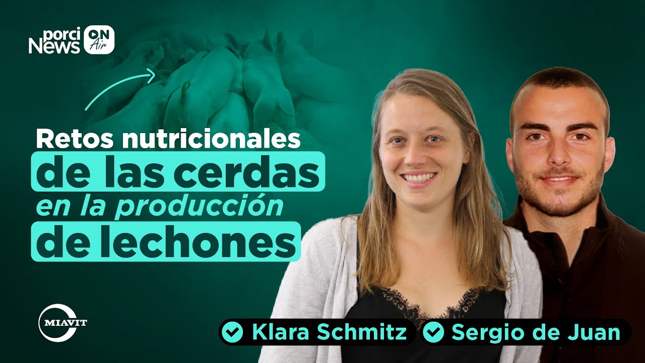 Las CERDAS y los RETOS NUTRICIONALES en la PRODUCCIÓN de LECHONES, con MIAVIT