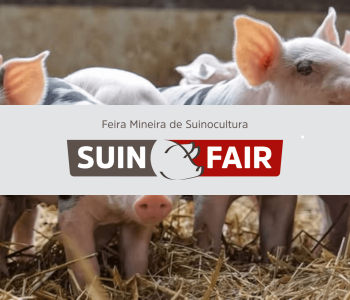 suinfair 2026