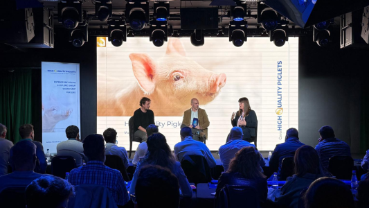 Jornada High Quality Piglets en Murcia centrada en manejo, sanidad y decisiones clave para mejorar la calidad del lechón al destete.