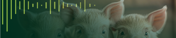 Menos poesia, mais tecnologia: ambiência como fator decisivo na eficiência da produção