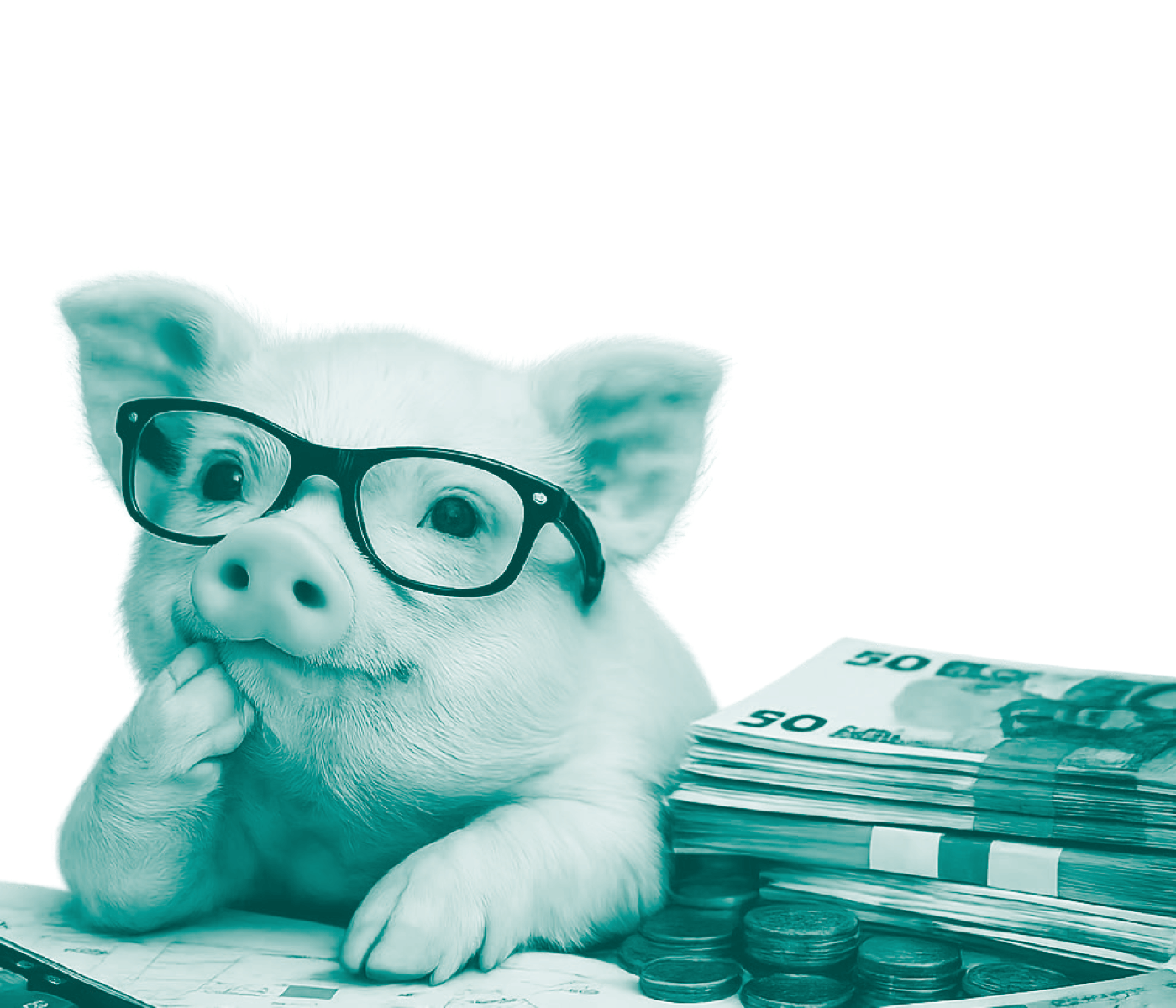 Claves para proteger la rentabilidad de la producción porcina en tiempos de crisis