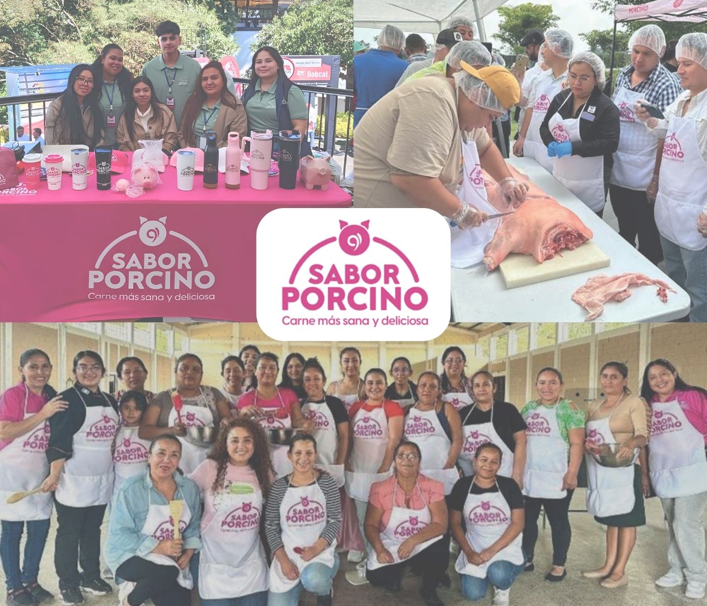 Sabor Porcino: Comunicación, educación y territorio al servicio del consumo de carne de cerdo en Guatemala