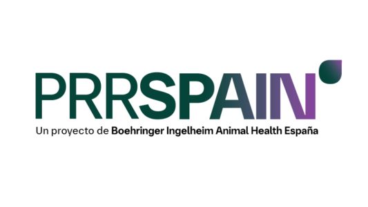 La herramienta PRRSPAIN, de Boehringer Ingelheim, ayuda a evaluar el impacto sanitario y económico del PRRS en explotaciones porcinas.