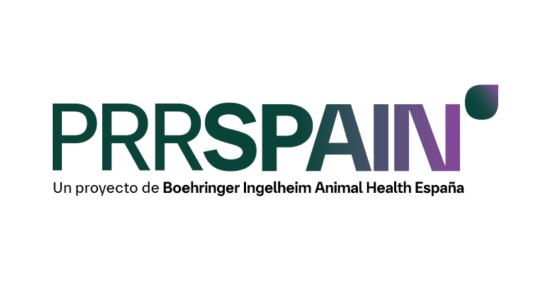 La herramienta PRRSPAIN, de Boehringer Ingelheim, ayuda a evaluar el impacto sanitario y económico del PRRS en explotaciones porcinas.