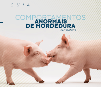 Agroceres PIC lança guia para apoiar a prevenção de mordeduras em suínos