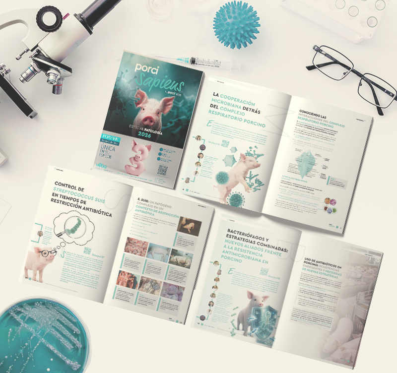 Sumario Porcisapiens