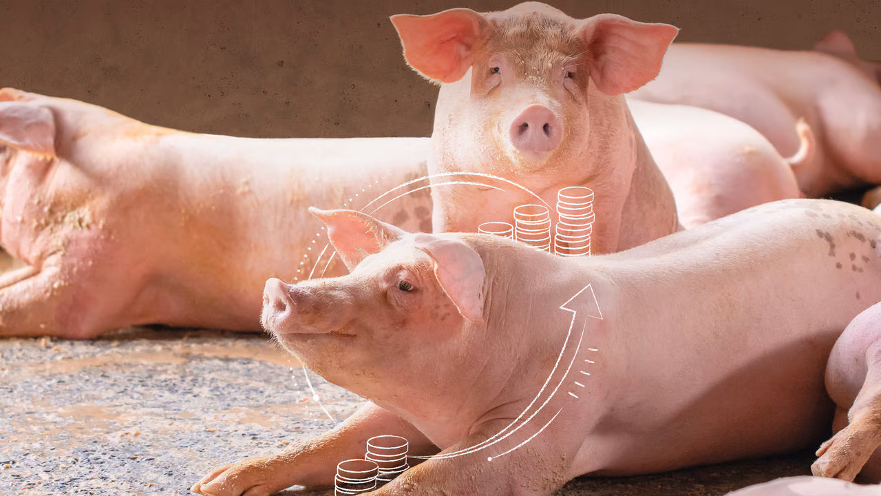 dsm-firmenich successfully defends vitamin D3 patent in China