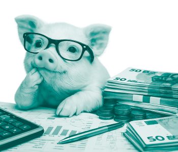 Estrategias rentabilidad producción porcina