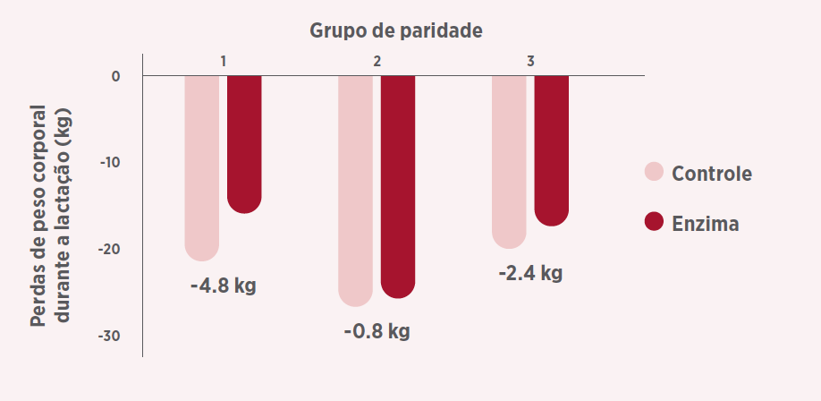 VIGOR NA LACTAÇÃO, SUCESSO NA LEITEGADA: Desbloqueando todo o potencial das matrizes de alta prolificidade