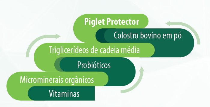 Figura 2. Composição do Piglet Protector, produto exclusivo daBiochem.