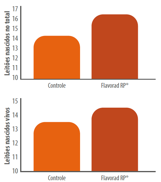 Gráfico 1: Efeito do Flavorad RP® no desempenho reprodutivo:número de leitões nascidos totais e vivos