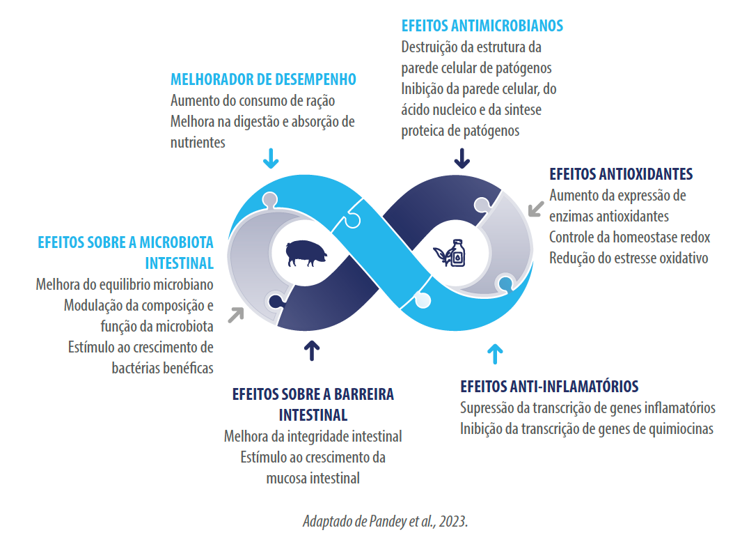 Figura 1 - Principais efeitos dos fitobióticos nos sistemas de produção de suínos.