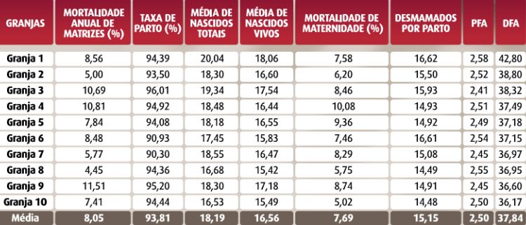 Benchmark 2024