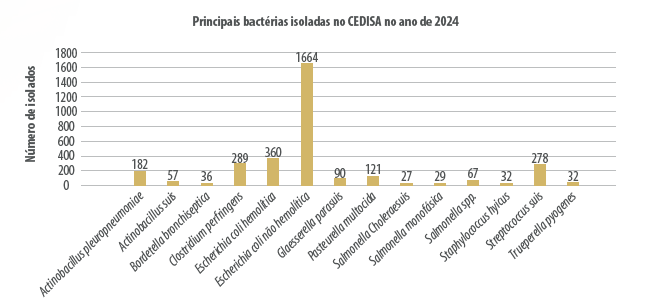 Figura 1. Número de isolados das principais bactérias causadoras de doenças em suínos no ano de 2024.