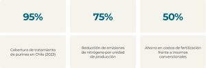 Cómo el sector porcino convierte purines y guanos en bioinsumos que reducen costos y mejoran el suelo, según el INIA Chile.