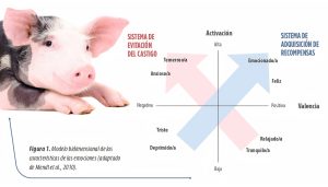 El bienestar animal positivo en cerdos avanza con indicadores fisiológicos y conductuales para evaluar estados emocionales.
