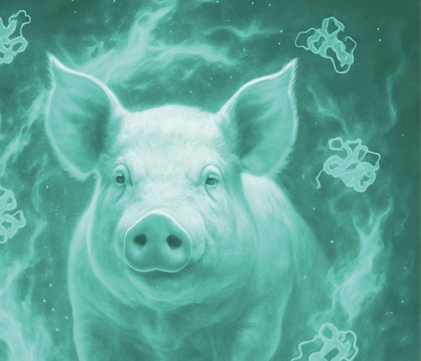 Más allá de la proteína: el impacto de la energía en el cerdo de cebo