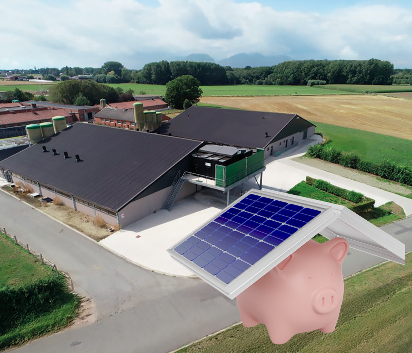 De calderas de gas natural a energía solar en granjas porcinas: paneles híbridos PVT y bombas de calor en una experiencia piloto en Bélgica