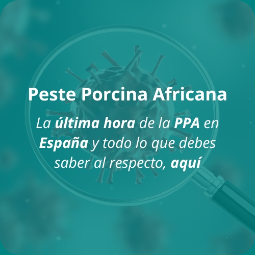 Especial PPA