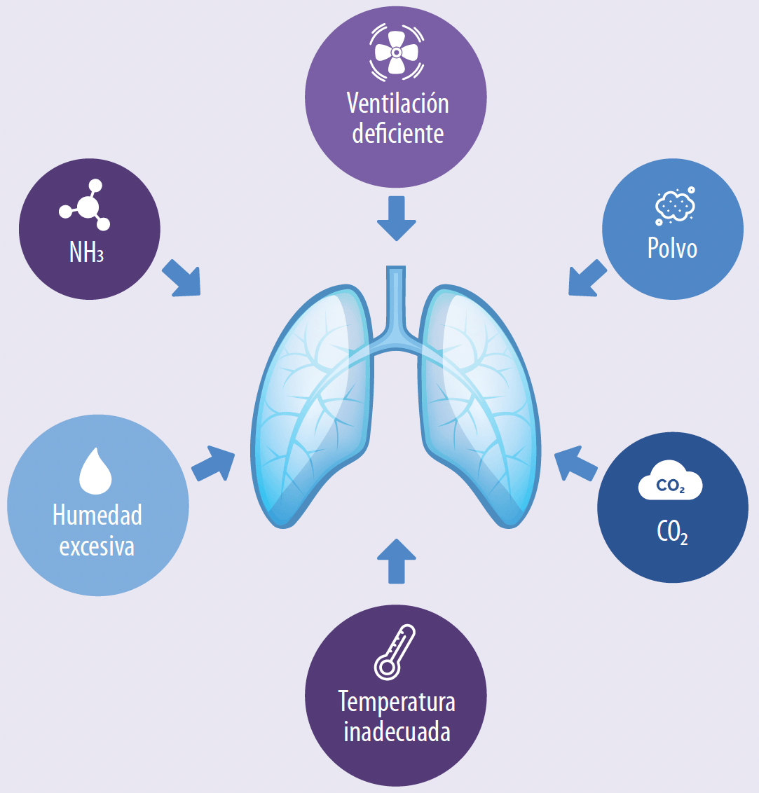 Factores-ambientales-afectan-desarrollo-severidad-CRP