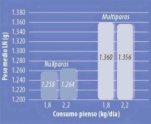 Descubre las 10 claves para alcanzar la excelencia en tu granja porcina: manejo, sanidad, alimentación y datos productivos. 