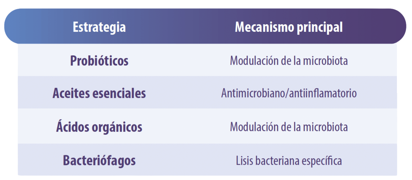 Mecanismos-accion-principales-alternativas-antibioticos-complejo-respiratorio-porcino-salud-respiratoria