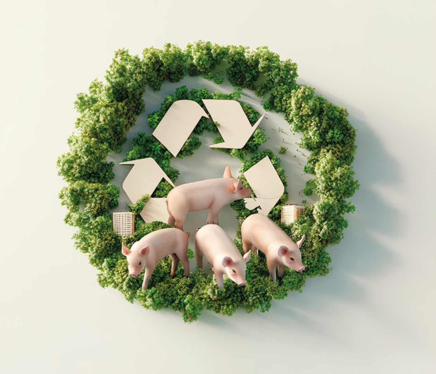 Nueva normativa de envases y residuos: ¿cómo afecta al sector ganadero y a los productores?