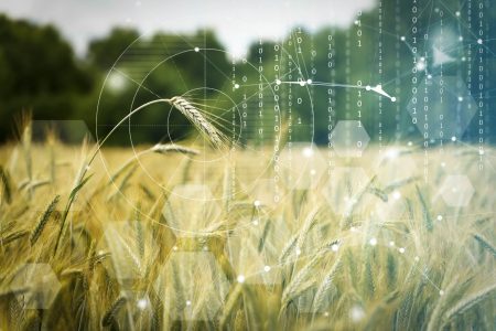 Orisha Agrifood agrupa bajo la marca NORA sus soluciones digitales para simplificar la oferta tecnológica en el sector agroalimentario.